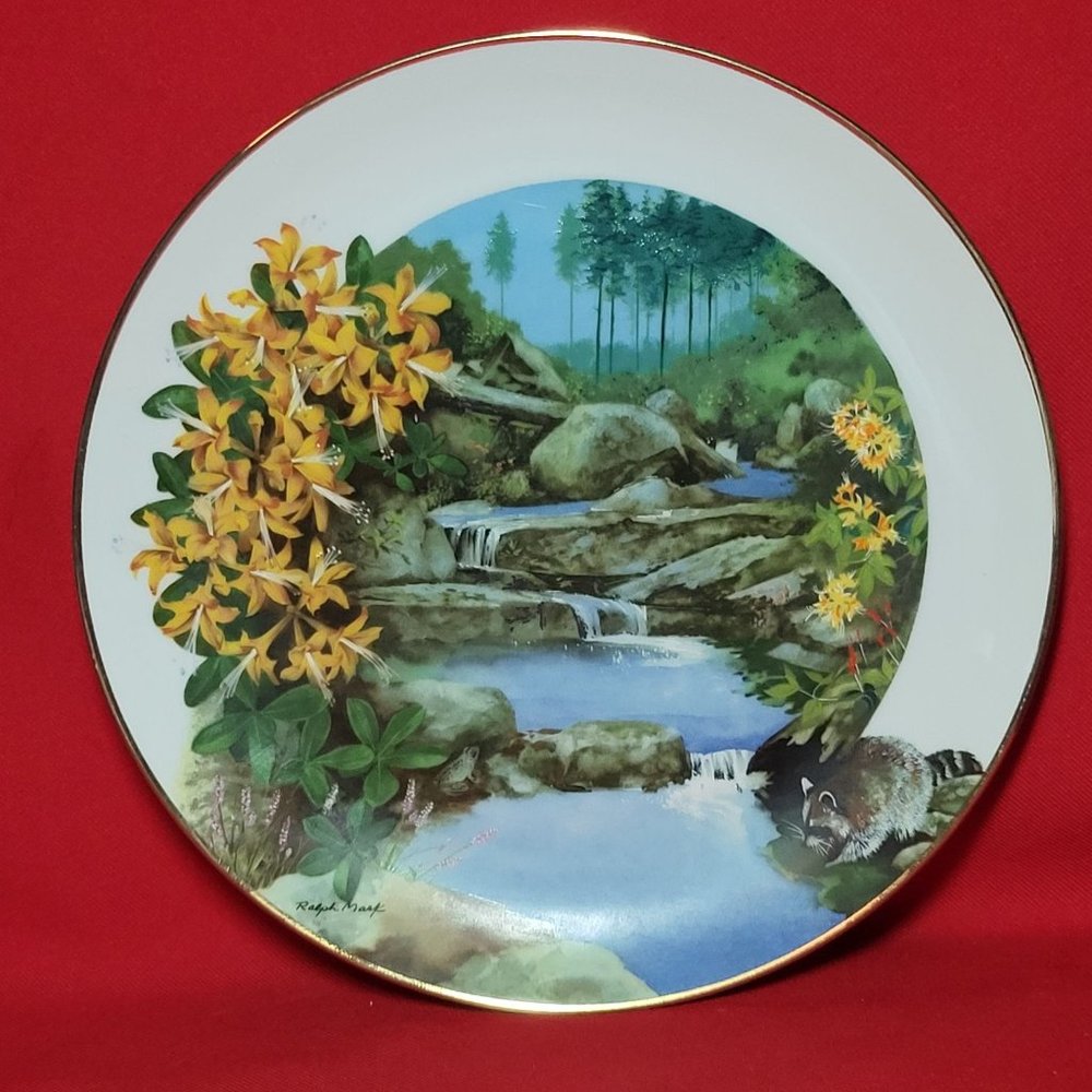 VTG Decorative Plate Royal Windsor Wild Honeysuckle Wildflowers of the South